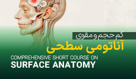 پکیج ویدیویی آناتومی سطحی (ویژه فیزیوتراپیست‌ها)