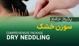 پکیج ویدیویی جامع سوزن خشک (۶ سطح)